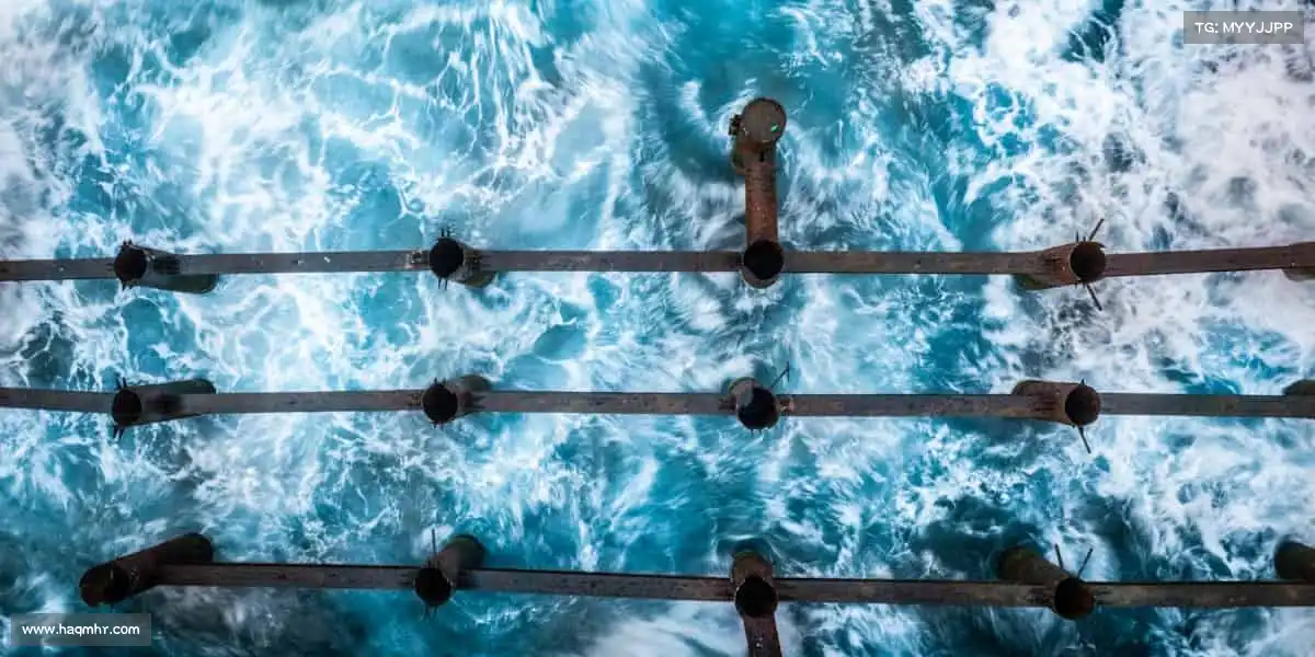 一飞冲天300倍——点燃运动激情,释放无限活力🔥